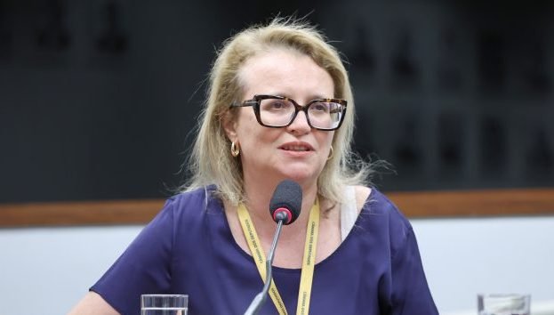 Audiência Pública - Participação social nas instituições do sistema de justiça, a partir da experiência das ouvidorias externas das Defensorias Públicas. Associação Nacional das Defensoras e Defensores Públicos Federais - ANADEF, Luciana Grando Bregolin Dytz