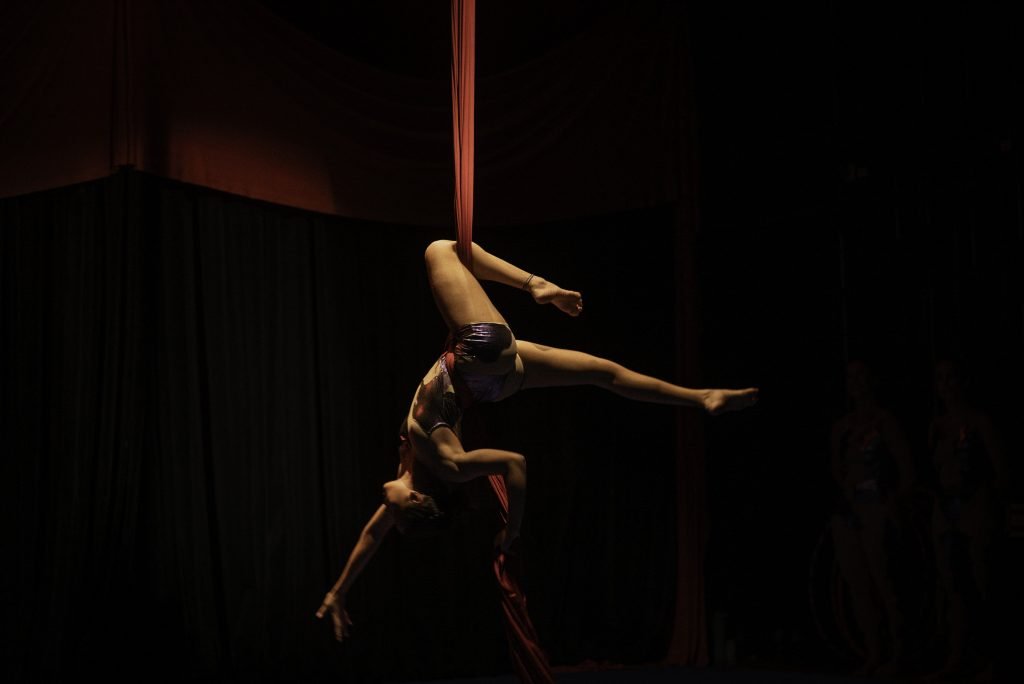 228Sururu Circo