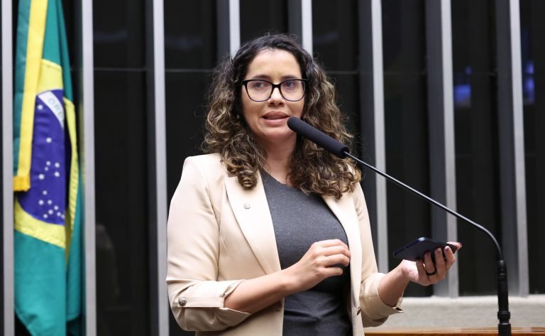 Discussão e votação de propostas legislativas. Dep. Denise Pessôa (PT-RS)