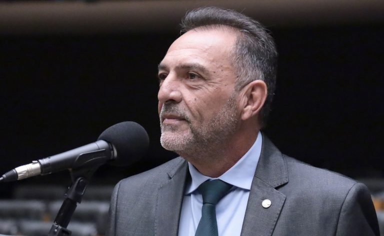 Discussão e votação de propostas legislativas. Dep. Zezinho Barbary (PP - AC)