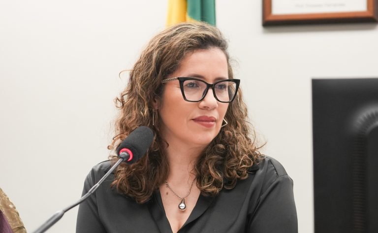 Deputada Denise Pessôa (PT-RS) em comissão da Câmara dos Deputados