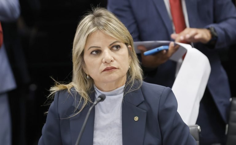 Deputada Flávia Morais (MDB-GO) em reunião na Câmara dos Deputados