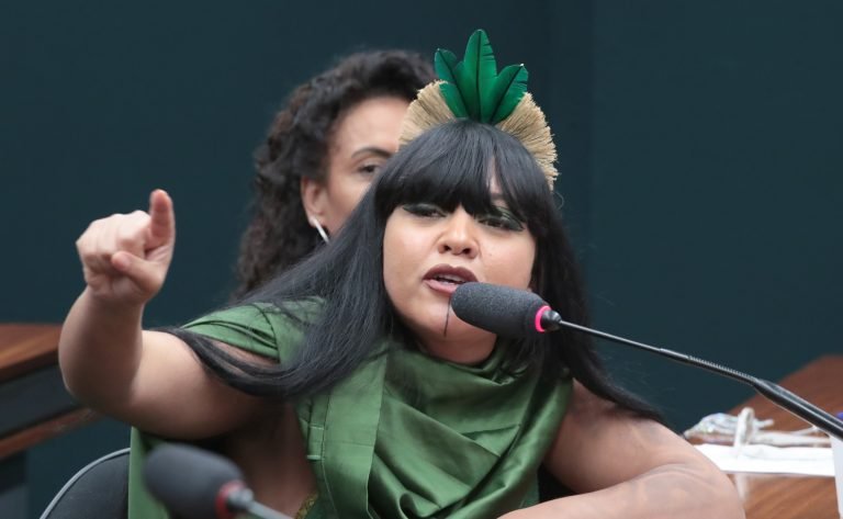 Audiência Pública - Plano Nacional de Cultura dos Povos Indígenas. Dep. Célia Xakriabá (PSOL - MG)