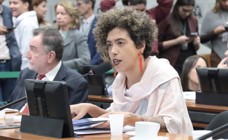 Discussão e votação de propostas legislativas. Dep. Talíria Petrone (PSOL - RJ)