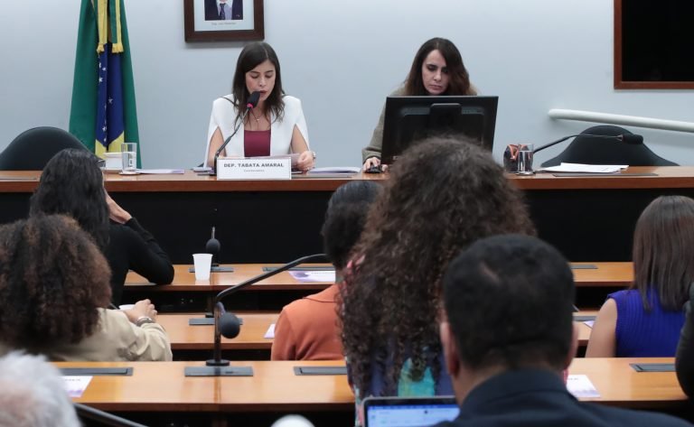 Apresentação do Relatório da Coordenadora. Dep. Tabata Amaral (PSB - SP)