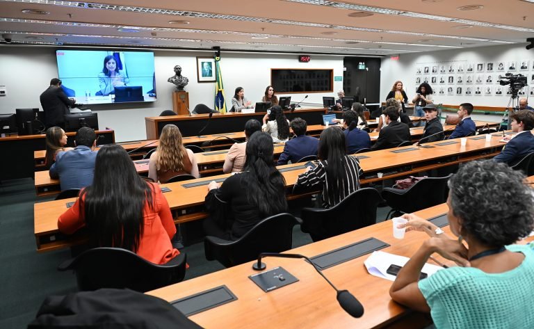 Reunião do grupo de trabalho sobre projeto que criminaliza a misoginia