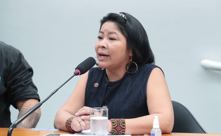 Audiência Pública - Plano Nacional de Cultura dos Povos Indígenas. Secretária de Articulação e Promoção de Direitos Indígenas, Giovana Cruz.