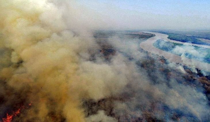 Vegetação pegando fogo em região do Pantanal no Mato Grosso do Sul
