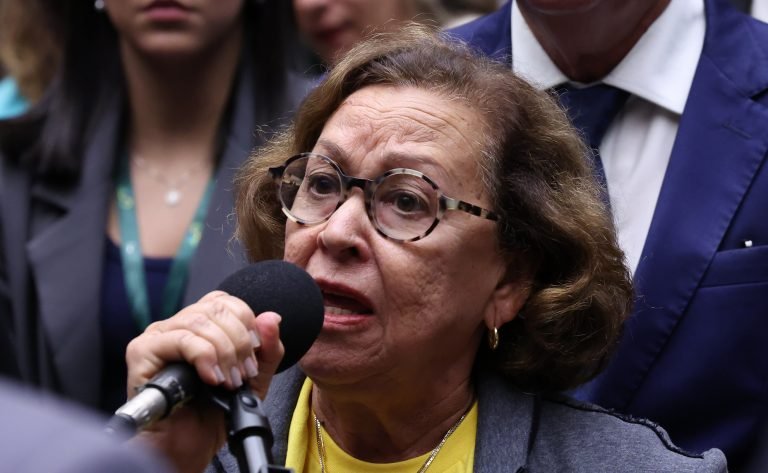 Discussão e Votação de propostas legislativas. Dep. Lídice da Mata (PSB - BA)