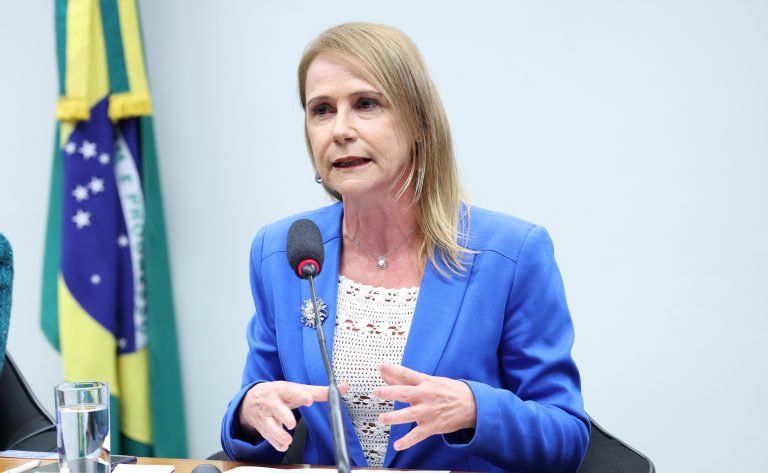 Audiência Pública - Aspectos jurídicos da criminalização da misoginia: direito nacional constitucionalidade e experiências internacionais. Presidente da Associação Brasileira de Mulheres de Carreiras Jurídicas - ABMCJ - Associação Brasileira de Mulheres de Carreiras Jurídicas - ABMCJ, Alice Bianchini