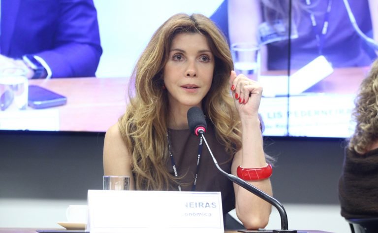 Audiência Pública - Práticas ilegais no setor de energia elétrica do Brasil. Gerente de Regulação Econômica da Superintendência de Gestão Tarifária e Regulação Econômica da Agência Nacional de Energia Elétrica - ANEEL, Flávia Lis Pederneiras.