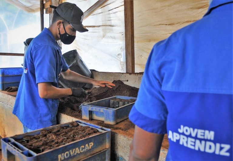 Trabalho - geral - aprendiz - Jovens aprendizes atuam nos viveiros da Novacap - Pessoas entre 18 e 24 anos adquirem experiência sob a tutela de monitores e abrem portas para o mercado de trabalho.