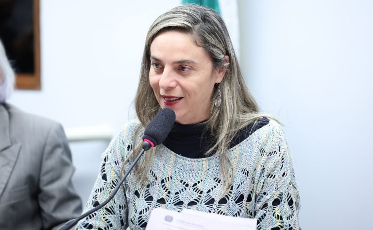 Audiência Pública - Participação social nas instituições do sistema de justiça, a partir da experiência das ouvidorias externas das Defensorias Públicas. Dep. Fernanda Melchionna (PSOL - RS)