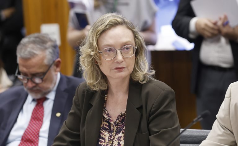 Reunião de Líderes. Dep. Maria do Rosário (PT - RS)