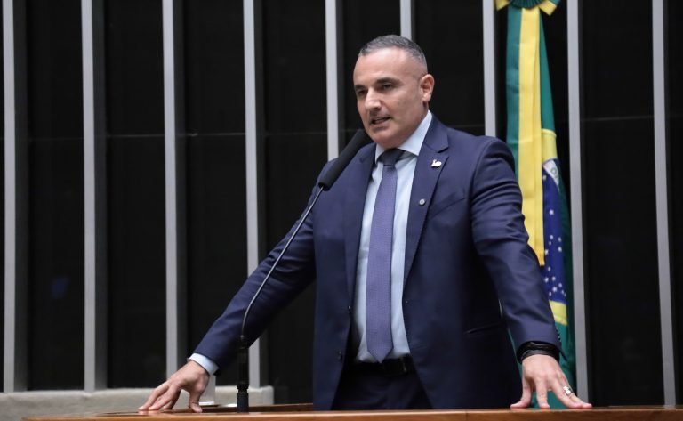 Discussão e votação de propostas Legislativas. Dep. Delegado Palumbo (MDB-SP)