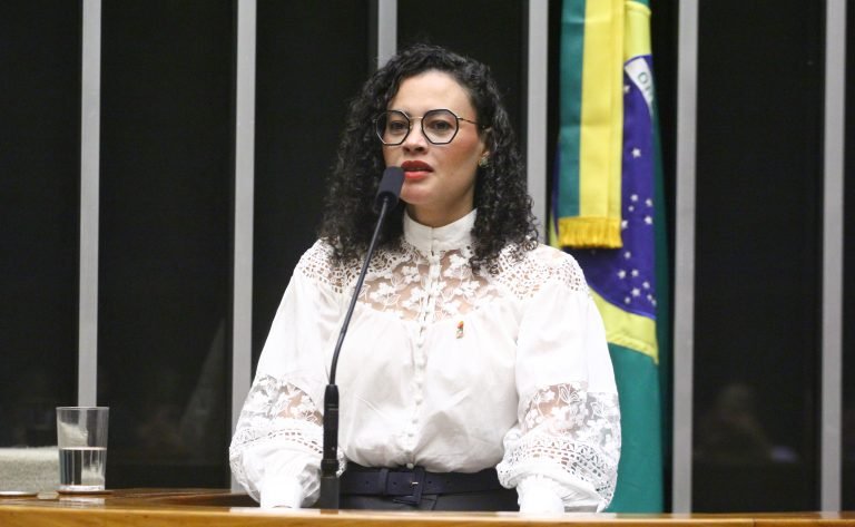Homenagem aos 20 anos da Lei da Agricultura Familiar. Presidente da Confederação Nacional dos Trabalhadores Rurais Agricultores e Agricultoras Familiares, Vânia Marques Pinto.