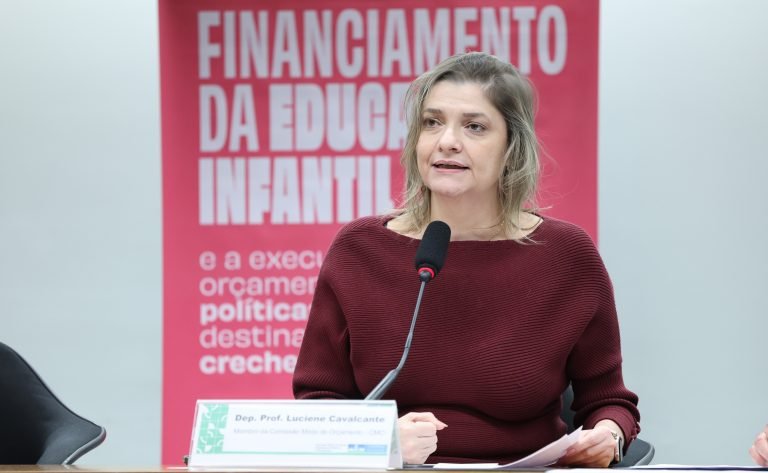 Audiência Pública - Financiamento da educação infantil e a execução orçamentária das políticas públicas destinadas as creches no Brasil. Dep. Professora Luciene Cavalcante (PSOL - SP)
