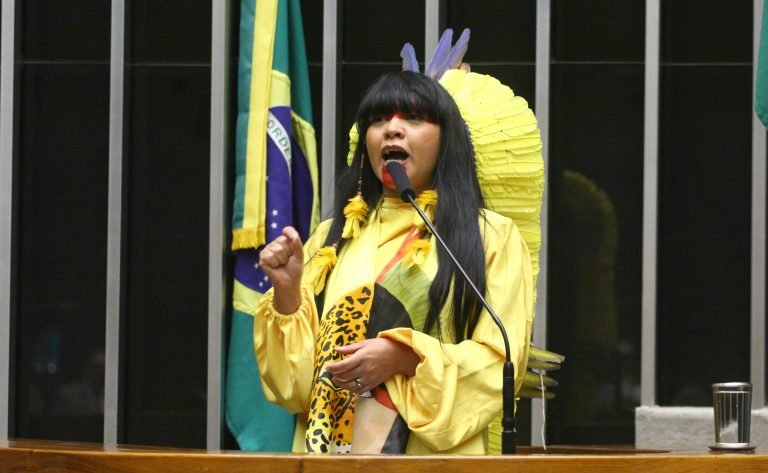 Discussão e votação de propostas legislativas. Dep. Célia Xakriabá (PSOL - MG)