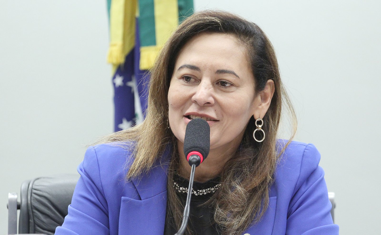 Deputada Dilvanda Faro (PT-PA) na Comissão da Amazônia e dos Povos Originários e Tradicionais da Câmara dos Deputados