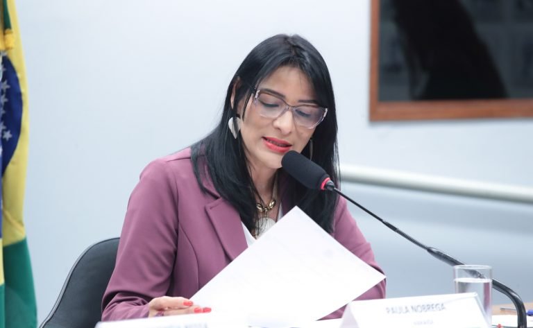 Deputada Juliana Cardoso (PT-SP) em comissão da Câmara dos Deputados