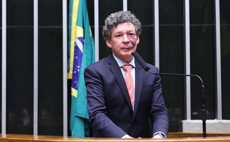 Discussão e votação de propostas legislativas. Dep. Reginaldo Lopes (PT - MG)