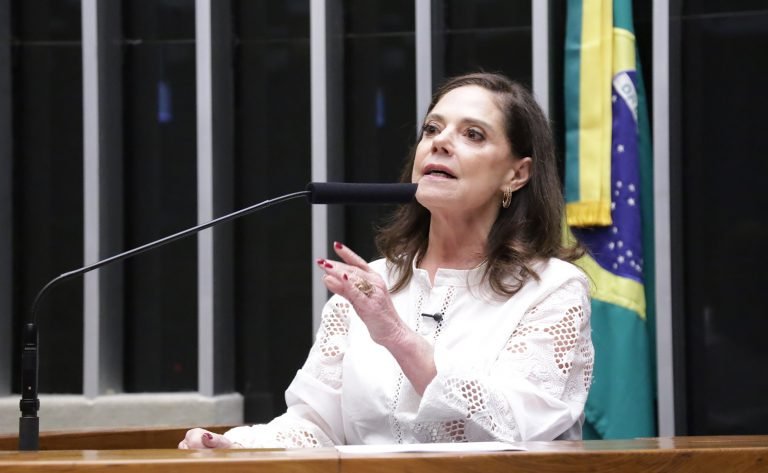 Discussão e votação de propostas legislativas. Dep. Soraya Santos (PL - RJ)