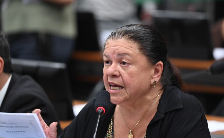 Deputada Laura Carneiro (PSD-RJ) fala em comissão da Câmara dos Deputados