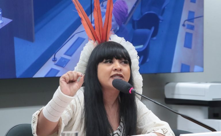 Deputada Célia Xakriabá (Psol-MG) fala em comissão da Câmara dos Deputados