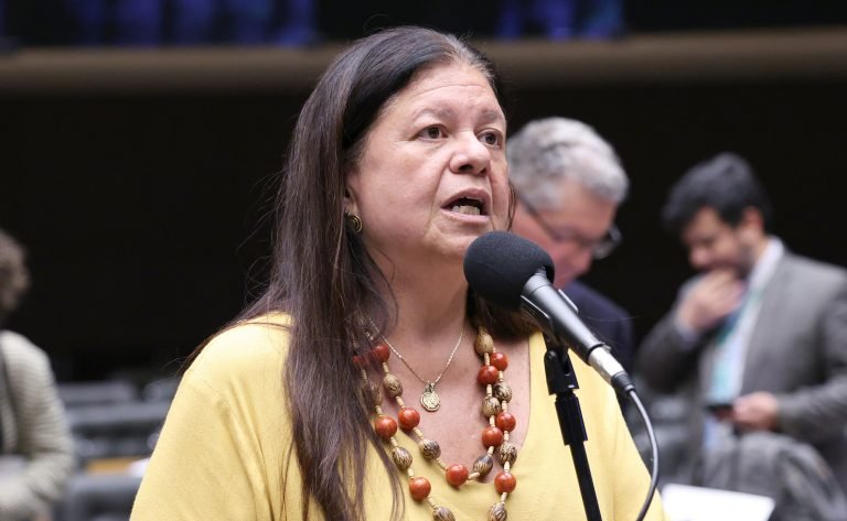 Deputada Laura Carneiro (PSD-RJ) fala no Plenário da Câmara dos Deputados