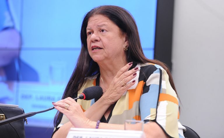 Discussão e votação do parecer do Relator. Dep. Laura Carneiro (PSD - RJ).