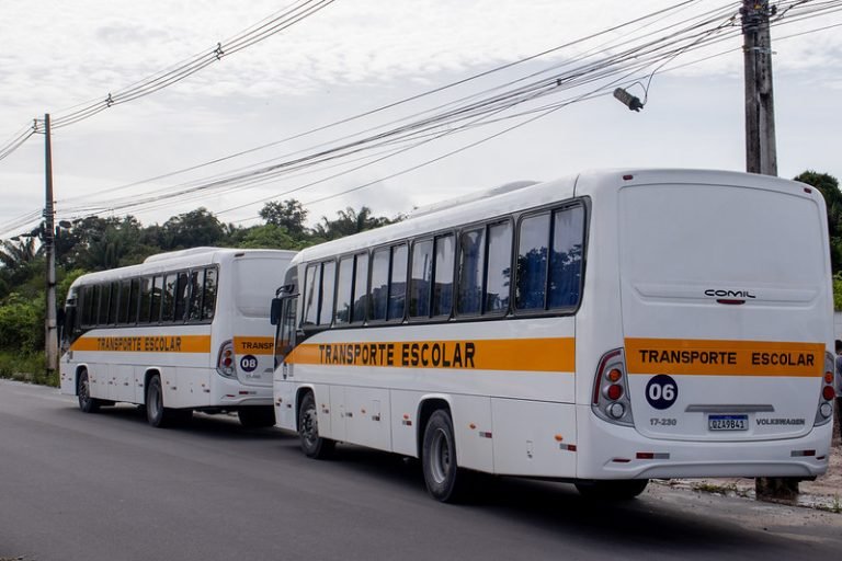 Dois ônibus de transporte escolar estacionados