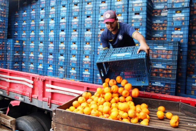 Economia - Indústria e comércio - alimentos abastecimento frutas verduras hortifruti alimentação trabalhadores (Ceasa, Belém-PA)